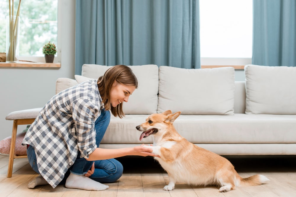 what is a pet-friendly flooring surface
